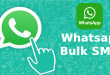 What Is the Best Practice for WhatsApp Bulk SMS? - AstroTonight.com
