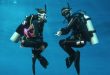 Diving Honduras