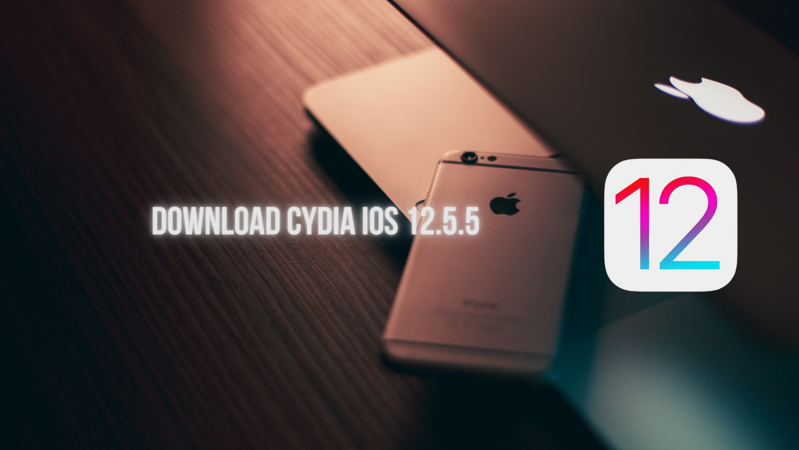 Cydia Download iOS 12.5.5