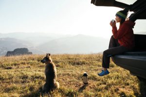 A young woman in a car on a background of mountains sits relaxed and drinks hot tea. A faithful and beloved dog sits nearby. They climbed to the top by car. Autumn. Karachay Cherkessia.
